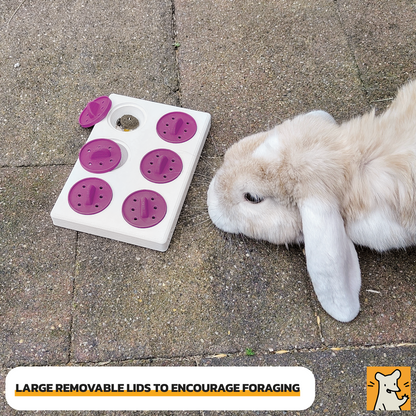 Large Foraging Puzzle Toy for Rats, Guinea Pigs, Rabbits, and more