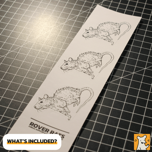 Hand-illustrated sticker sheet featuring cute rats, ideal for decorating laptops and crafts.