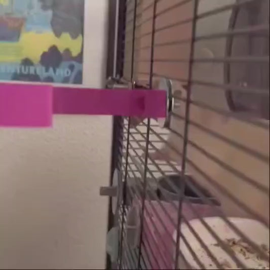 Toilet Roll Cage Holder for Rats and Degus