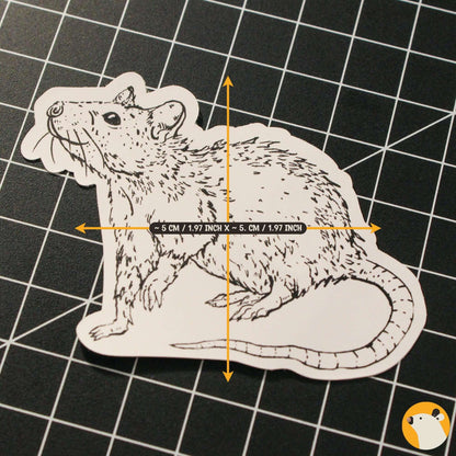 dimensions of hand drawn matt ink rat designer sticker